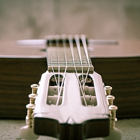 гитара | Фотограф Александр Якушев | foto.by фото.бай