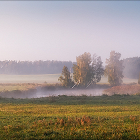 Классика тумана | Фотограф Сергей Шабуневич | foto.by фото.бай