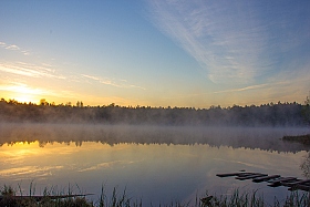 Утром в лесу | Фотограф Александр Митрахович | foto.by фото.бай