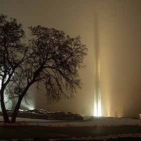 зимний туман | Фотограф Анастасия Маркова | foto.by фото.бай