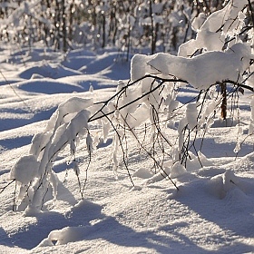 фотограф Владислав Рогалев. Фотография "маленькая арка в зиму"