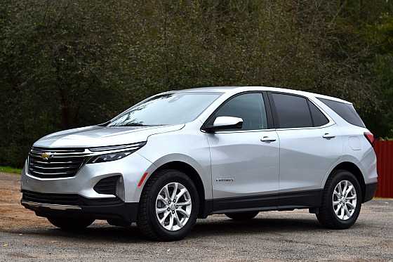 Фотограф Юлия Лапицкая, фотография добавлена 13.10.2025