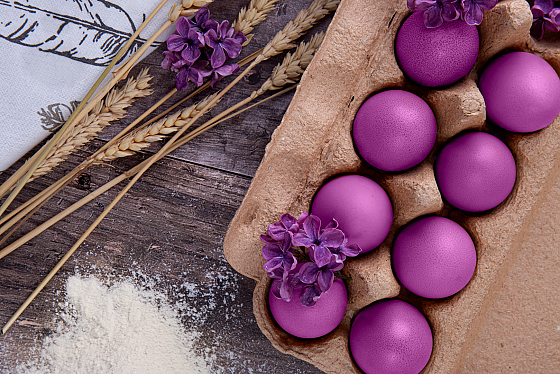 Фотограф Анастасия Комок, фотография добавлена 16.04.2026