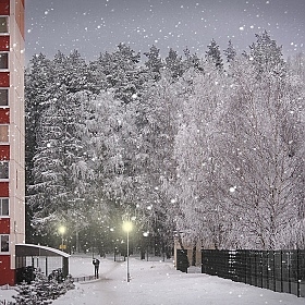 фотограф Ирина Олешкевич. Фотография "А снег идет..."