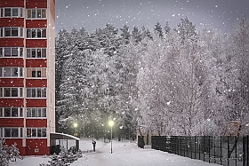 А снег идет... | Фотограф Ирина Олешкевич | foto.by фото.бай