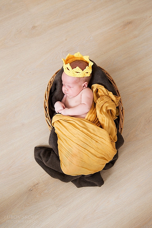 Любовь Чистая - фотограф в городе Минск, фотография добавлена 16.12.2014