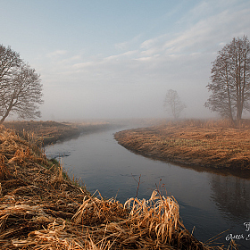 река  Ольшанка | Фотограф Алеся Максименко | foto.by фото.бай