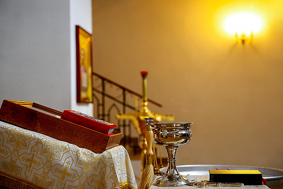 Фотограф Екатерина Додока, фотография добавлена 15.04.2022