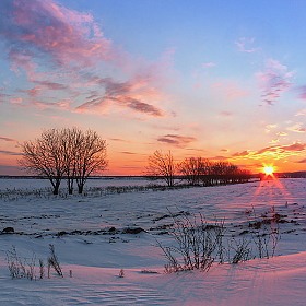 фотограф Виталий Шаливский. Фотография "мороз и солнце"
