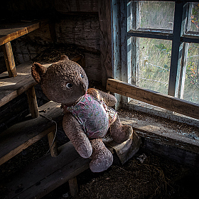 Забытая игрушка | Фотограф Вiктар Стрыбук | foto.by фото.бай