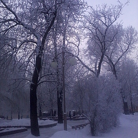 Зимний парк | Фотограф Татьяна Дегтярёва | foto.by фото.бай