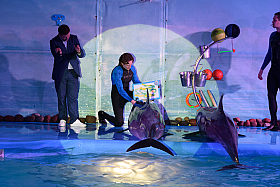 Работа фотографа Сергей Тарасов