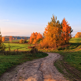 Дорога в осень | Фотограф Сергей Шабуневич | foto.by фото.бай