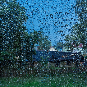 Вид из окна | Фотограф Ольга Палей | foto.by фото.бай