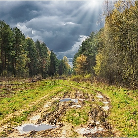 фотограф Tatsiana Latushko. Фотография "Весенний пейзаж"