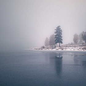 фотограф  . Фотография "В тишине осеннего тумана."