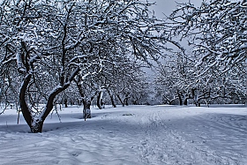 Вот и зима | Фотограф Сергей Шабуневич | foto.by фото.бай