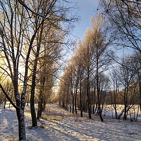 фотограф Екатерина Осипович. Фотография "Мороз и солнце - день чудесный."