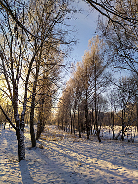 Мороз и солнце - день чудесный. | Фотограф Екатерина Осипович | foto.by фото.бай