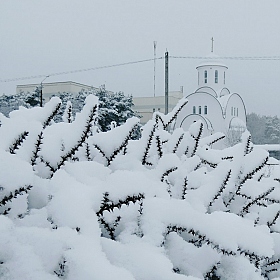 фотограф Владислав Рогалев. Фотография "зима на городской окраине"