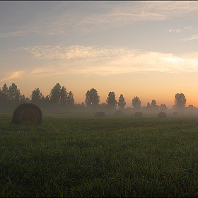 В тумане | Фотограф Олег Фролов | foto.by фото.бай