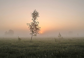 В тумане | Фотограф Павел Нагин | foto.by фото.бай