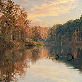 фотограф Владимир Ковалёв. Фотография "Свислочь"