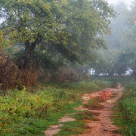 Как то осенью | Фотограф Сергей Шабуневич | foto.by фото.бай