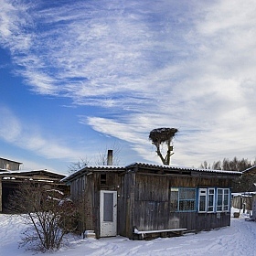 фотограф Глеб Латышевич. Фотография "Зимой"