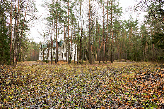 Фотограф Александр Тагаев, фотография добавлена 24.02.2026