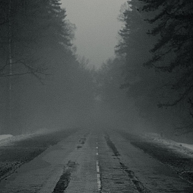 фотограф Евгений Шевелев. Фотография "Будущее в тумане"