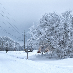 фотограф Юлия Кранина. Фотография "***"