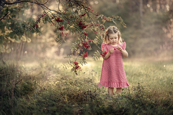 Фотограф Наталья Тагай, фотография добавлена 20.11.2019