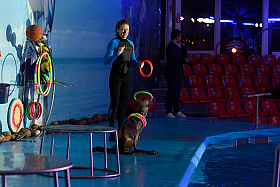 Работа фотографа Сергей Тарасов