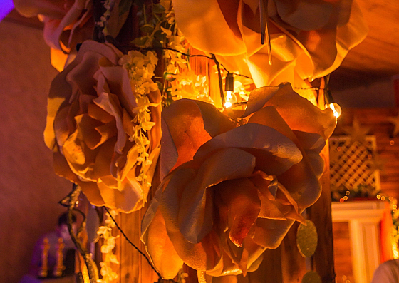 Фотограф Сергей Тарасов, фотография добавлена 21.06.2017