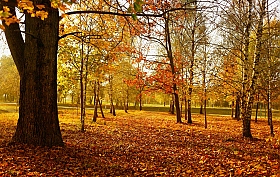 Осенний парк | Фотограф Александр Бурштын | foto.by фото.бай