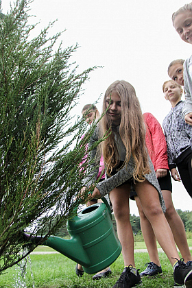 Работа фотографа Сергей Тарасов