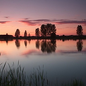 На закате | Фотограф Валерий Козуб | foto.by фото.бай