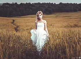 Невеста в поле | Фотограф Фаррух Яхьяев | foto.by фото.бай