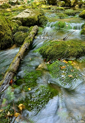 Мимо текла река... | Фотограф Александр Латышевич | foto.by фото.бай