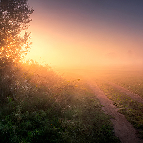 День начинается | Фотограф Сергей Шабуневич | foto.by фото.бай