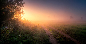 День начинается | Фотограф Сергей Шабуневич | foto.by фото.бай