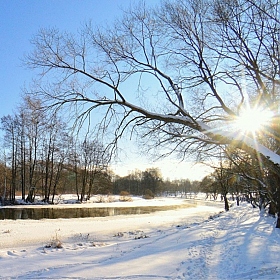 настроение "зима" | Фотограф Игорь Сафонов | foto.by фото.бай