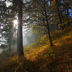 Утренний пейзаж | Фотограф Сергей Шляга | foto.by фото.бай