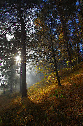 Утренний пейзаж | Фотограф Сергей Шляга | foto.by фото.бай