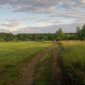 фотограф Олег Фролов. Фотография "Вечер в поле"