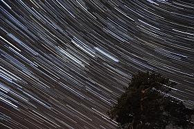 Сосна и звезды | Фотограф Харланов Никита | foto.by фото.бай