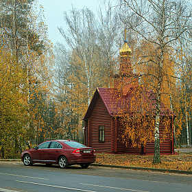 фотограф Владимир Ковалёв. Фотография "Под цвет галстука"