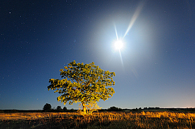 Луны фонарь | Фотограф Стас Аврамчик | foto.by фото.бай