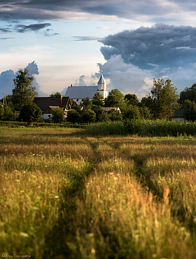 Деревная | Фотограф Игорь Старовойтов | foto.by фото.бай